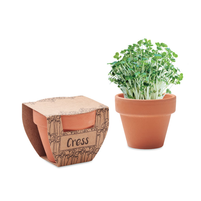 Terracotta pot with cress seeds with your logo