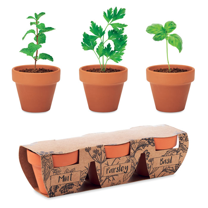 Terracotta 3 herb pot set with your logo