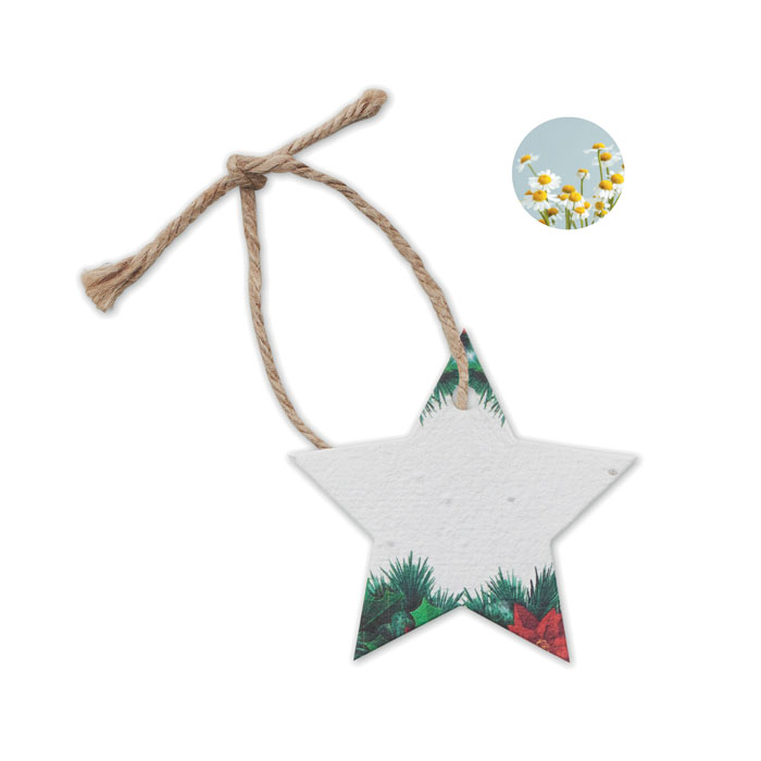 Seed paper Christmas star ornament with your logo