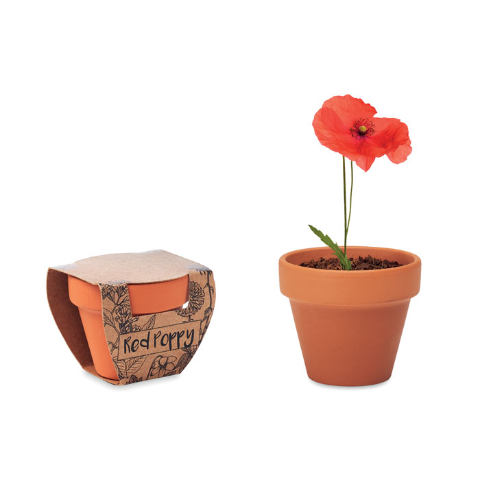 Terracotta pot with poppy seeds with your logo