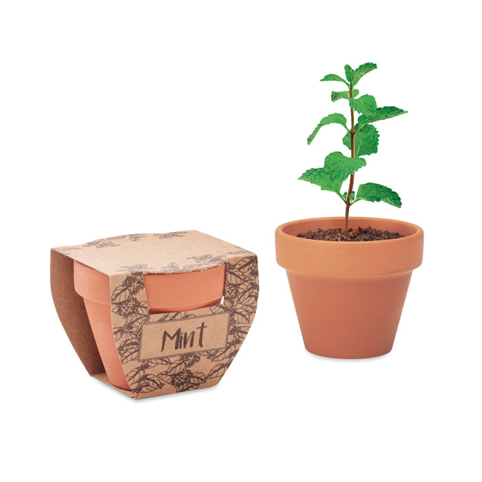 Terracotta pot with mint seeds with your logo